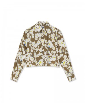 Beige MSGM Poplin Crop Shirt With Daisy Print | USA_MSGM68774