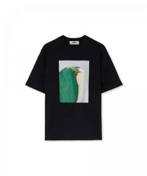 Black MSGM Fantastic Green Inverse Series Organic Jersey Cotton | USA_MSGM97977