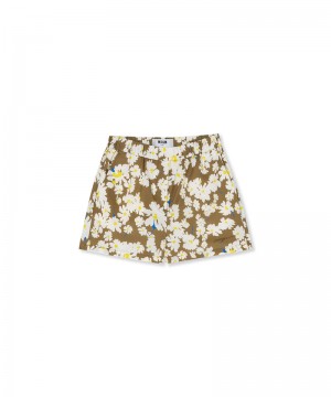 Brown MSGM Daisy Print Poplin Shorts | USA_MSGM49712