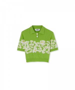 Green MSGM Blended Cashmere Polo Shirt With Jacquard Daisies | USA_MSGM80600