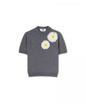 Grey MSGM Blended Cashmere T-shirt With Daisies Application | USA_MSGM67109