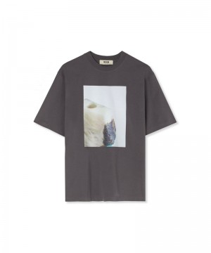 Grey MSGM Fantastic Green Inverse Series Organic Jersey Cotton | USA_MSGM17872